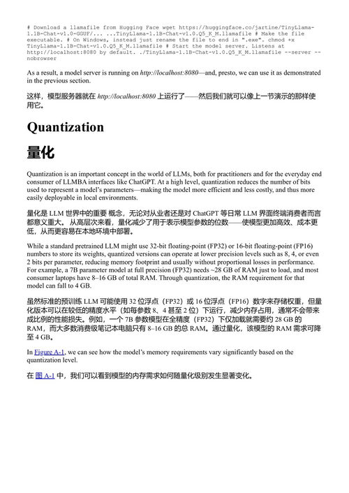 大语言模型：难点解析 塔尔西斯·T·P·索萨 & 乔纳森·K·雷根斯坦 Jr. (中英对照电子书)