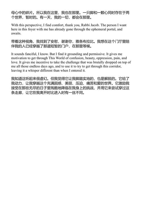 当我们再次见到你 蕾切尔·戈德堡-波林 (中英对照电子书)