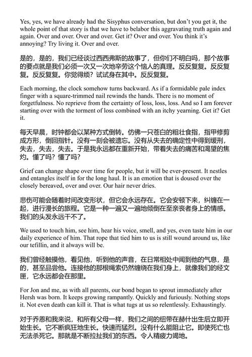 当我们再次见到你 蕾切尔·戈德堡-波林 (中英对照电子书)