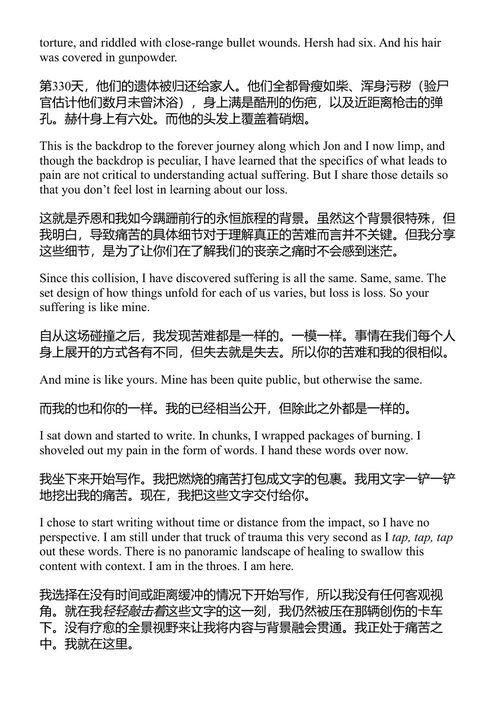 当我们再次见到你 蕾切尔·戈德堡-波林 (中英对照电子书)