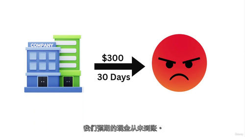 会计坏账与可疑债务完全精通课程(中文字幕英文视频教程)