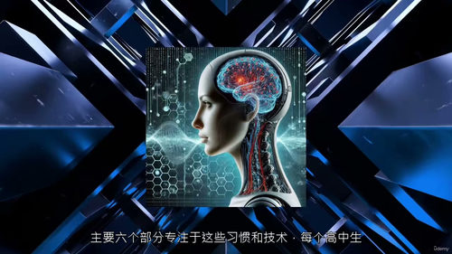 助力青少年顺利通关高中：学习方法与应试能力提升指南  (中文