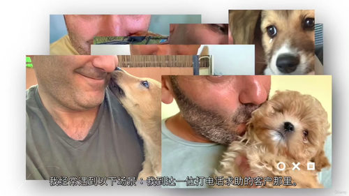 幼犬基础训练实用指南：新手入门前几周 (中文字幕英文视频教程