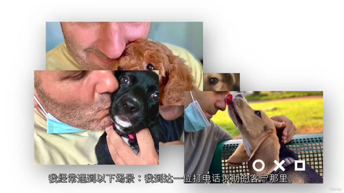 幼犬基础训练实用指南:新手入门前几周 (中文字幕英文视频教程