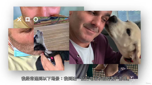幼犬基础训练实用指南:新手入门前几周 (中文字幕英文视频教程