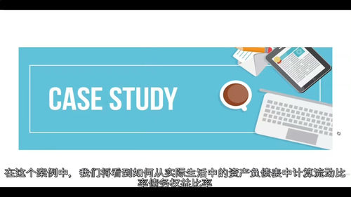 银行信贷分析实战案例精讲  (中文字幕英文视频教程)