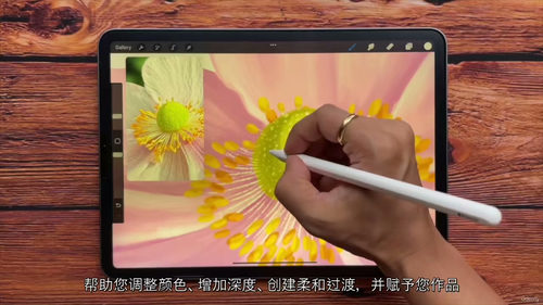 花园绽放 Procreate 十日挑战 (中文字幕英文视频教