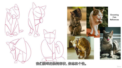 猫咪绘画挑战：轻松绘制动态猫咪姿势（中文字幕英文视频教程）
