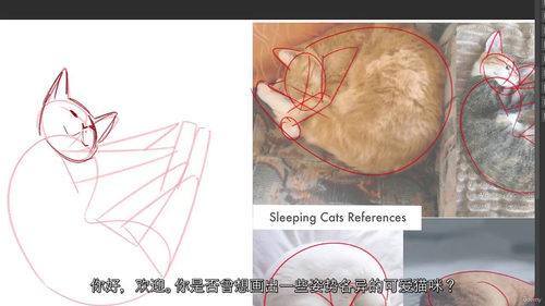 猫咪绘画挑战：轻松绘制动态猫咪姿势（中文字幕英文视频教程）