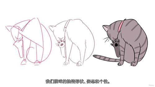 猫咪绘画挑战：轻松绘制动态猫咪姿势（中文字幕英文视频教程）