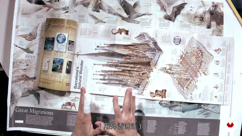 创作传世信息图表 —— 从构思到落地的全流程指南