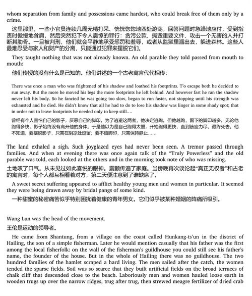 王伦三跃 (中英双语电子书)