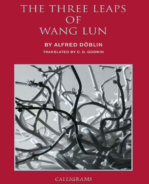王伦三跃 (中英双语电子书）