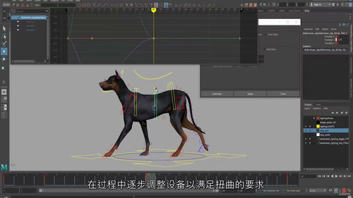 Maya 狗狗行走循环动画制作全解析