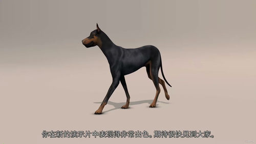 Maya 狗狗行走循环动画制作全解析
