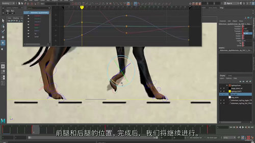 Maya 狗狗行走循环动画制作全解析