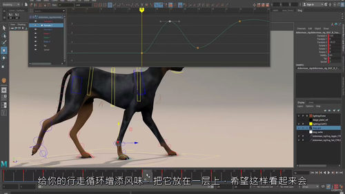 Maya 狗狗行走循环动画制作全解析