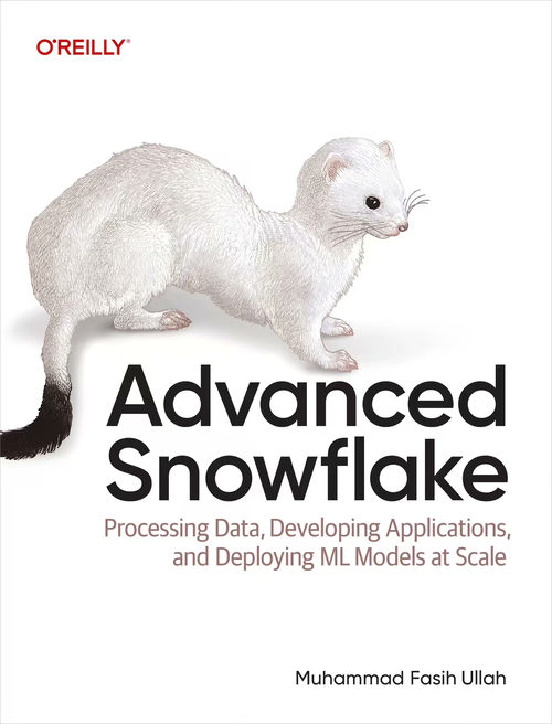 进阶 Snowflake：大规模数据处理、应用开发与机器学习