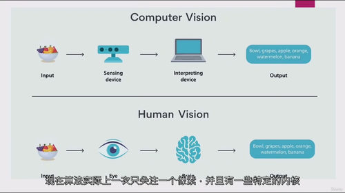 深度学习全栈计算机视觉与生成式 AI 实战 ——12 个项目