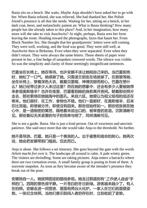 我是XX的哥哥 / 弗洛尔·雅吉 (中英对照电子书)