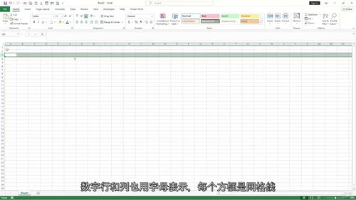 微软 Excel 数据处理、分析与可视化实战 (中文字幕英