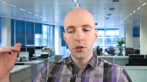 SAP Business One SQL 查询实战特训营