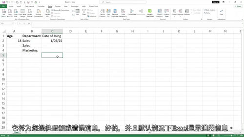 微软 Excel 大师课:循序渐进学 Excel (中文字幕