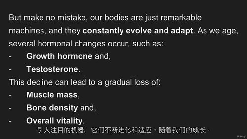 弹力带训练:全方位掌控力量与体能