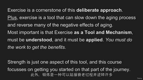 弹力带训练:全方位掌控力量与体能