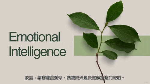 实用日常情绪智力培养 (中文字幕英文视频教程)
