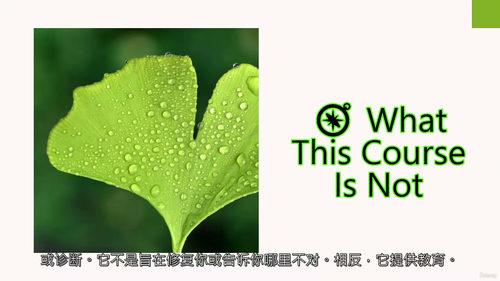 实用日常情绪智力培养 (中文字幕英文视频教程)