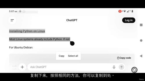 计算机科学领域Python语言实战变现全攻略