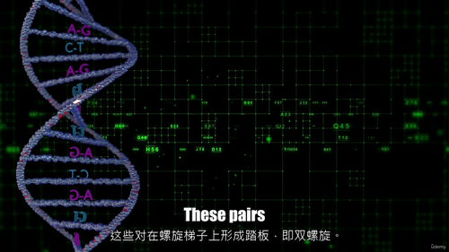 解码自我:DNA、基因组学与人工智能的奥秘 (中文字幕英文视