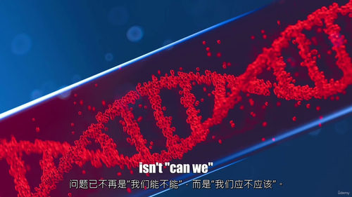 解码自我：DNA、基因组学与人工智能的奥秘 (中文字幕英文视