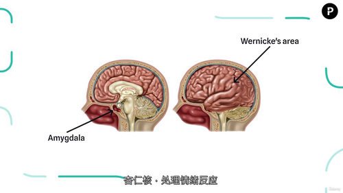 [中字] 数据驱动叙事实战指南 2025（中文字幕英文视频教