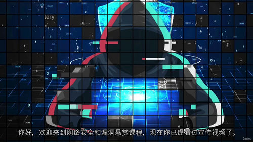 网络安全与漏洞赏金：渗透测试实战指南  (中文字幕英文视频教
