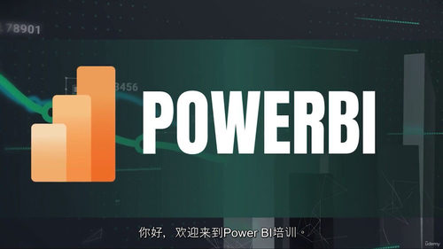 实战精通 Power BI：从入门到专业