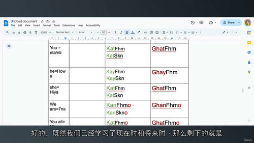 零基础摩洛哥阿拉伯语(达里加语)系统精通教程 (中文字英文视