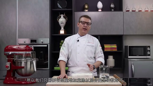 专业面包制作精讲（中英视频）