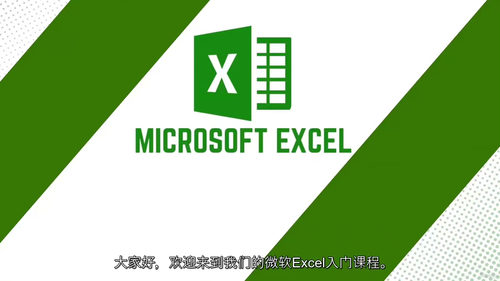 微软 Excel 数据分析与可视化实战训练营 (中文字幕英文