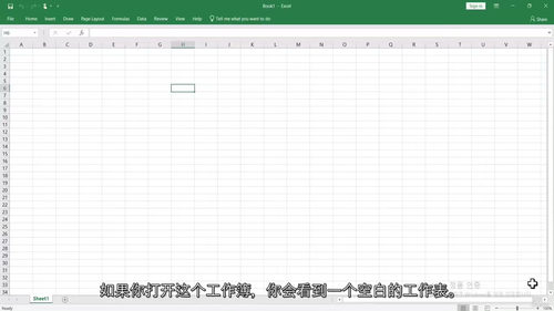 微软 Excel 数据分析与可视化实战训练营 (中文字幕英文