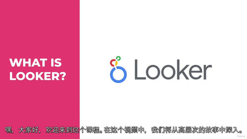 Looker 与 LookML 完全精通指南
