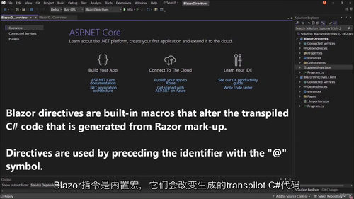 Blazor 指令精通:实战案例指南