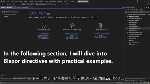 Blazor 指令精通:实战案例指南
