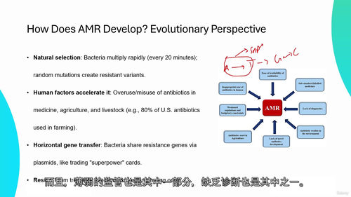 antimicrobial 耐药性检测实战：从基因组原始数据
