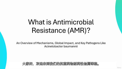 antimicrobial 耐药性检测实战:从基因组原始数据