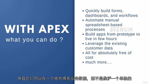 Oracle APEX 开发者基础入门