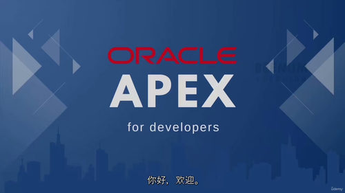 Oracle APEX 开发者基础入门