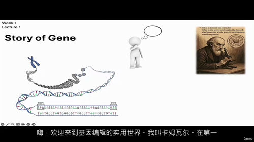 CRISPR 基础实践教程 —— 手把手教你基因编辑操作（中