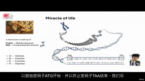 CRISPR 基础实践教程 —— 手把手教你基因编辑操作(中
